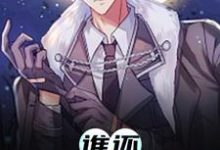 岳东苏婉儿是哪本书的主角?谁还没点副业免费读-书格格