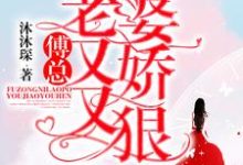 求傅总，你老婆又娇又狠小说的全文免费阅读链接-书格格