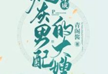 穿成炮灰男配的大嫂章节免费在线阅读,俞小宛陶三郎陶四郎完结版-书格格