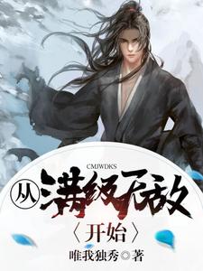 已完结小说《从满级无敌开始》章节免费阅读