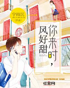 林舒沈遇书何小叶江耀小说在哪里可以看