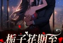 栀子花期至,爱意永不逝(洛唯栀江弋)在线免费阅读-书格格