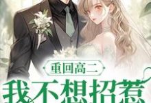 重回高二,我不想招惹前世丈夫小说的无弹窗阅读体验,寻找免费阅读网站-书格格