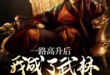 主人公叫李乘风的小说一路高升后,我成了武林超级BOSS在线阅读章节-书格格
