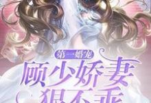 《第一婚宠:顾少娇妻狠不乖》小说章节列表免费试读,夏柠顾林城陈团团小说在线阅读-书格格