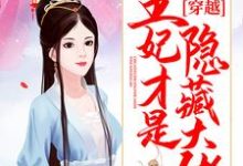 完结版《穿越:王妃才是隐藏大佬》免费阅读-书格格