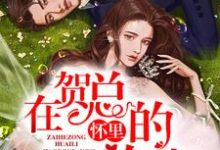 江霁贺堇修是哪本书的主角？在贺总的怀里放肆免费读-书格格