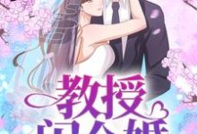 想读常南意姜逸的故事,哪里可以免费找到教授,闪个婚?-书格格