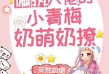 韩城野宁染为主角的小说好看吗?免费读偏执大佬的小青梅奶萌奶撩-书格格