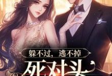 主角林曜谢星忱小说躲不过,逃不掉,死对头顶级诱宠免费阅读-书格格