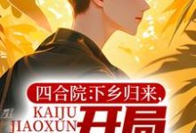 求四合院:下乡归来,开局教训棒梗小说的全文免费阅读链接-书格格