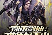 已完结小说《都市剑仙：求师叔下山》最新章节-书格格