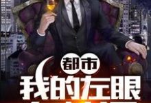 《都市:我的左眼有神通》全集免费在线阅读(李牧罗海)-书格格