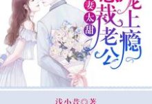 小说《萌妻太甜:总裁老公宠上瘾》章节免费阅读-书格格