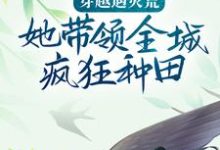 穿越遇灾荒,她带领全城疯狂种田小说无弹窗阅读的网站推荐-书格格