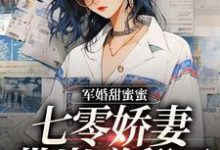 林宛纾秦衍的完整故事在哪里?读军婚甜蜜蜜,七零娇妻带崽赚翻了小说-书格格