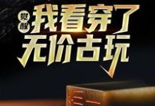 主人公叫叶枫张可欣的小说哪里免费看-书格格