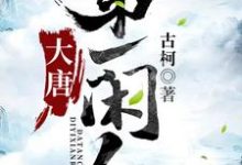 哪里可以免费读到陈不飞含香的完整故事?寻找大唐第一闲人-书格格