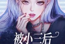 完结版《被小三后,我独自美丽了!》章节目录在线阅读-书格格