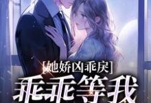 小青梅,乖乖等我来教你陆昭昭江辞允,小青梅,乖乖等我来教你章节在线阅读-书格格