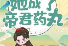 穿越后,她成了帝君药丸楼柒沉煞陈十轩辕战,穿越后,她成了帝君药丸在线无弹窗阅读-书格格