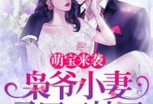 萌宝来袭,枭爷小妻马甲又掉了言西澄陆乘枭在线章节免费阅读-书格格