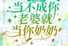 小说《刺激!当不成你老婆就当你奶奶》章节免费阅读-书格格