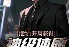 港综:开局获得神级体质,我无敌了小说最新更新在哪里?免费在线看-书格格