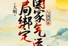 大明:开局绑定国家气运,与国同休小说的所有章节都能在哪里免费读到?-书格格