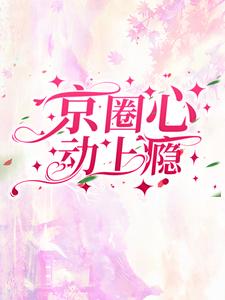 《京圈心动上瘾》小说主角沈流苏季司衍章节章节免费在线阅读