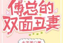 三宝联盟:傅总的双面丑妻许安安傅寒决在线章节免费阅读-书格格