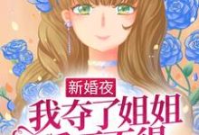 主角叫姜早早陆迟小说新婚夜,我夺了姐姐爱而不得的男人章节免费阅读-书格格