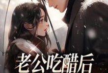寻找老公吃醋后,乖宝低声撩哄小说的最新更新章节-书格格