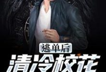 男女主人公陆晨小说逃单后,清冷校花她后悔了章节免费阅读-书格格