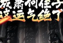 开局成萧何侄子,这运气绝了主角萧郗小说完结版章节在线阅读-书格格