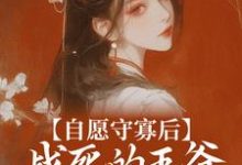 小说《自愿守寡后，战死的王爷连夜归来》章节阅读-书格格