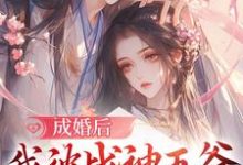 成婚后,我被战神王爷日日独宠小说,成婚后,我被战神王爷日日独宠免费阅读-书格格