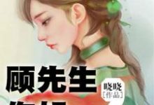 《顾先生，你好》小说主角沈依依顾离章节章节免费在线阅读-书格格