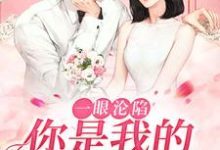 一眼沦陷:你是我的命中注定小说最新更新在哪里?免费在线看-书格格