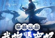 穿越以后,我抱紧宠妃姐姐的大腿季今宵小说大结局免费试读-书格格