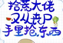 求造孽!拾荒大佬又从丧尸手里抢东西小说的全文免费阅读链接-书格格