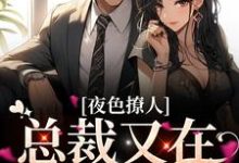 夜色撩人,总裁又在放蛊了小说完结了吗?在哪里可以免费读到?-书格格