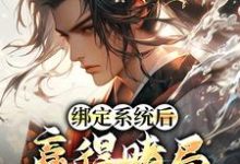 绑定系统后,赢得赌局就能变强小说的免费电子版在哪里可以下载或阅读?-书格格