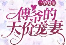 乔卿卿傅司霆是哪本书的主角？寻找一孕双宝：傅爷的天价宠妻免费阅读-书格格