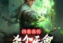 完结版《四象真传,杀个天命不是简简单单》免费阅读-书格格