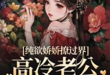 纯欲娇娇撩过界,高冷老公一吻沦陷(司软沈欲野)在线免费阅读-书格格