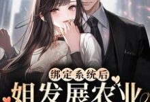 主人公叫苏浅景湛的小说哪里免费看-书格格