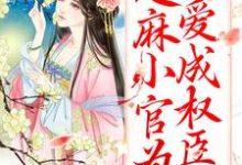 甜宠:芝麻小官为爱成权臣了小说的无弹窗阅读体验,寻找免费阅读网站-书格格