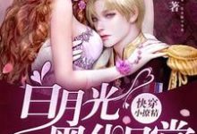 秦九小说《快穿小撩精:白月光黑化日常》在线阅读-书格格