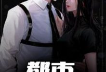 都市神级保镖小说全文阅读需要付费吗?寻找免费资源-书格格